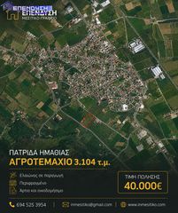 Αγροτεμάχια 3.104 τ.μ. για πώληση, Ημαθία, Δοβρά-thumb-3