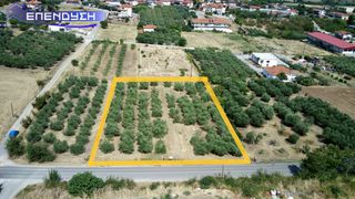 Αγροτεμάχια 3.104 τ.μ. για πώληση, Ημαθία, Δοβρά-thumb-1