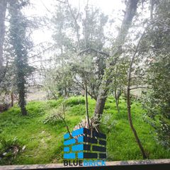 Οικόπεδο 980 τ.μ. προς πώληση