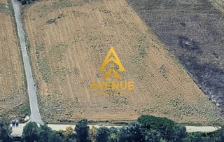 Αγροτεμάχια 9.180 τ.μ. για πώληση