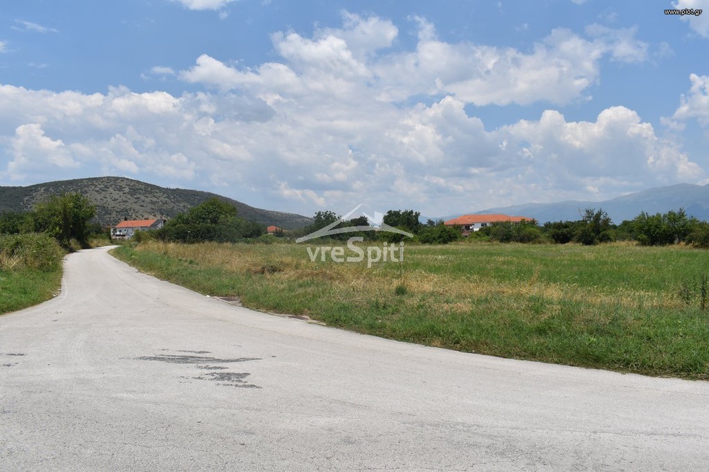 Αγροτεμάχια 5.590 τ.μ. προς πώληση, Πεδινή