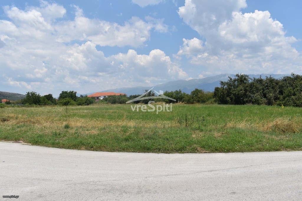 Αγροτεμάχια 5.590 τ.μ. προς πώληση, Πεδινή