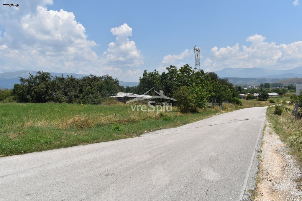 Αγροτεμάχια 5.590 τ.μ. προς πώληση, Πεδινή