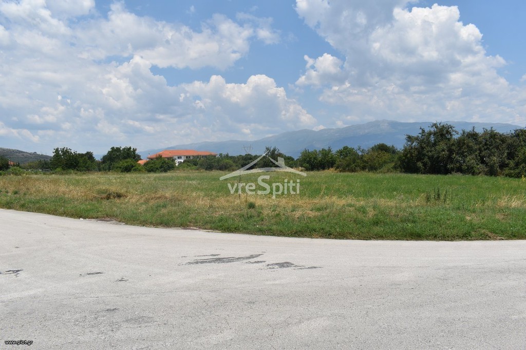 Αγροτεμάχια 5.590 τ.μ. προς πώληση, Πεδινή