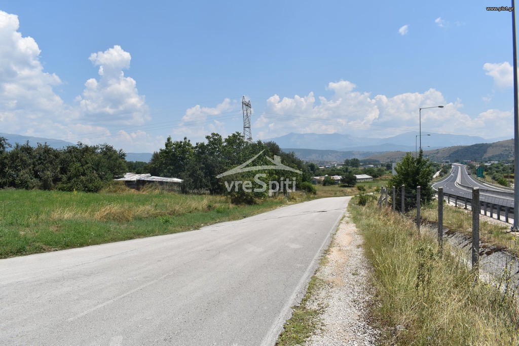 Αγροτεμάχια 5.590 τ.μ. προς πώληση, Πεδινή