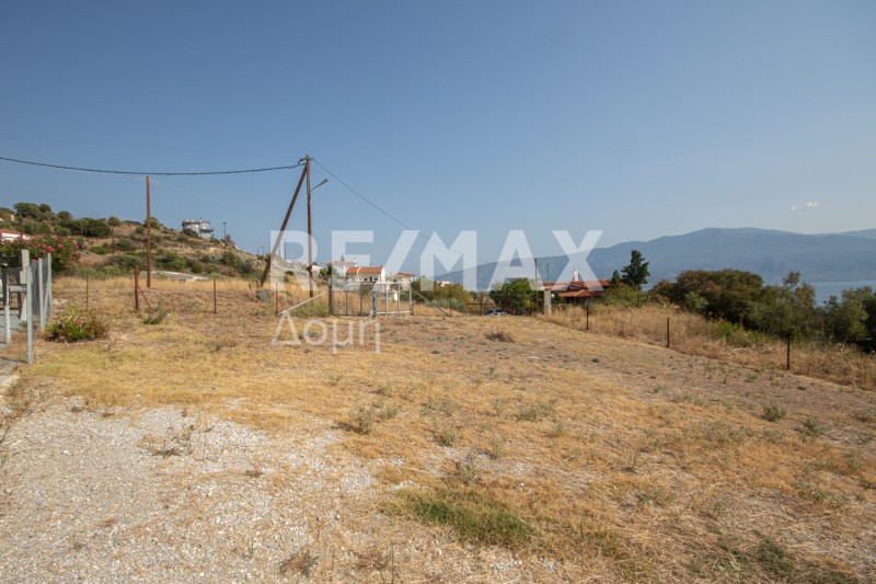 Οικόπεδο 617 τ.μ. πρός πώληση, Μαγνησία, Βόλος