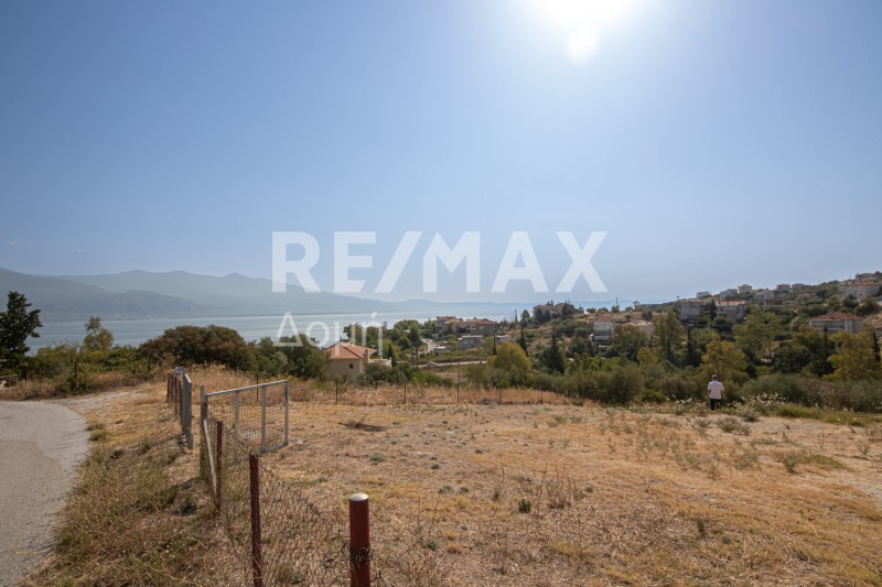 Οικόπεδο 617 τ.μ. πρός πώληση, Μαγνησία, Βόλος