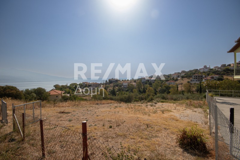 Οικόπεδο 617 τ.μ. πρός πώληση, Μαγνησία, Βόλος