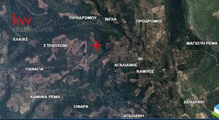 Αγροτεμάχια 3.660 τ.μ. για πώληση