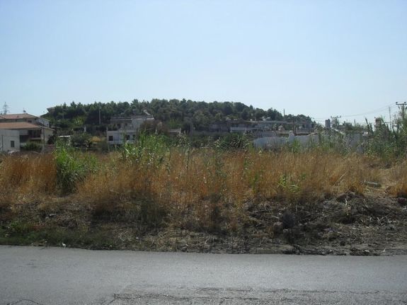 Αγροτεμάχια 2.000 τ.μ. για ενοικίαση, Αθήνα - Δυτικά Προάστια, Αχαρνές