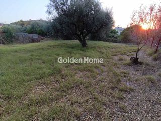 Αγροτεμάχια 2.721 τ.μ. για πώληση