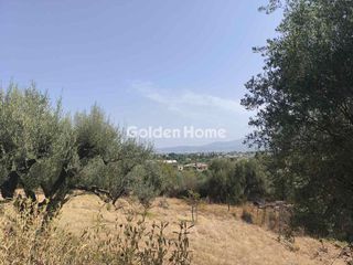 Οικόπεδο 2.000 τ.μ. πρός πώληση, Αχαΐα, Παραλία-thumb-4