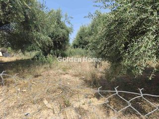 Οικόπεδο 2.000 τ.μ. πρός πώληση, Αχαΐα, Παραλία-thumb-5