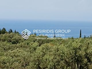 Αγροτεμάχια 4.367 τ.μ. για πώληση, Ν. Λευκάδας, Λευκάδα-thumb-1