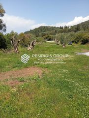 Αγροτεμάχια 4.367 τ.μ. για πώληση, Ν. Λευκάδας, Λευκάδα-thumb-4