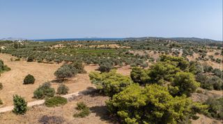 Αγροτεμάχια 32.821 τ.μ. για πώληση, Αργολίδα, Κρανίδι-thumb-4