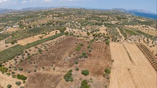 Αγροτεμάχια 32.821 τ.μ. για πώληση, Αργολίδα, Κρανίδι-thumb-20