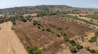 Αγροτεμάχια 32.821 τ.μ. για πώληση, Αργολίδα, Κρανίδι-thumb-21