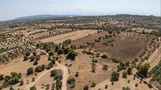 Αγροτεμάχια 32.821 τ.μ. για πώληση, Αργολίδα, Κρανίδι-thumb-24