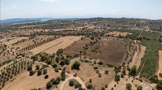 Αγροτεμάχια 32.821 τ.μ. για πώληση, Αργολίδα, Κρανίδι-thumb-5