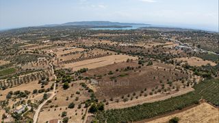 Αγροτεμάχια 32.821 τ.μ. για πώληση, Αργολίδα, Κρανίδι-thumb-6