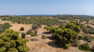 Αγροτεμάχια 32.821 τ.μ. για πώληση, Αργολίδα, Κρανίδι-thumb-12