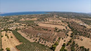 Αγροτεμάχια 32.821 τ.μ. για πώληση, Αργολίδα, Κρανίδι-thumb-9