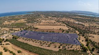 Αγροτεμάχια 32.821 τ.μ. για πώληση, Αργολίδα, Κρανίδι-thumb-3