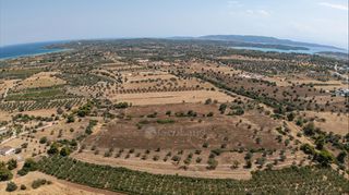 Αγροτεμάχια 32.821 τ.μ. για πώληση, Αργολίδα, Κρανίδι-thumb-16