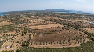 Αγροτεμάχια 32.821 τ.μ. για πώληση, Αργολίδα, Κρανίδι-thumb-7