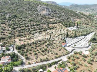 Αγροτεμάχια 2.600 τ.μ. για πώληση, Αργολίδα, Ναύπλιο-thumb-8