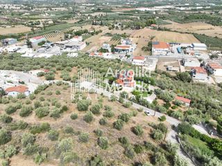 Αγροτεμάχια 2.600 τ.μ. για πώληση, Αργολίδα, Ναύπλιο-thumb-12