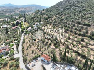 Αγροτεμάχια 2.600 τ.μ. για πώληση, Αργολίδα, Ναύπλιο-thumb-9