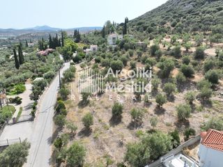 Αγροτεμάχια 2.600 τ.μ. για πώληση, Αργολίδα, Ναύπλιο-thumb-15