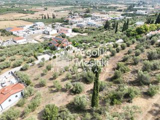 Αγροτεμάχια 2.600 τ.μ. για πώληση, Αργολίδα, Ναύπλιο-thumb-19