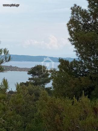Αγροτεμάχια 10.000 τ.μ. για πώληση, Αργολίδα, Κρανίδι
