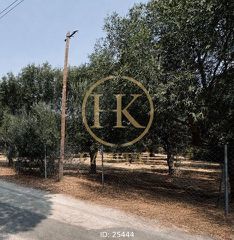 Οικόπεδο 2.344 τ.μ. για πώληση