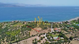 Οικόπεδο 8.700 τ.μ. για πώληση