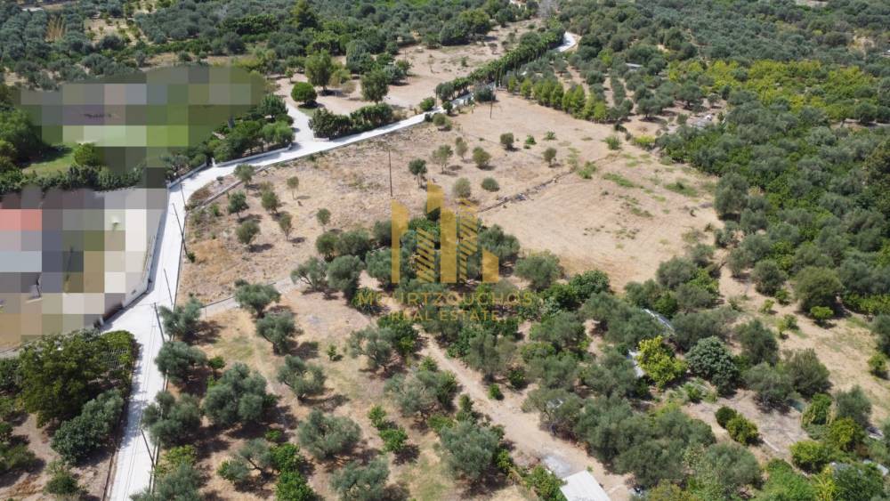 Οικόπεδο 8.700 τ.μ. πρός πώληση, Αχαΐα, Αίγιο