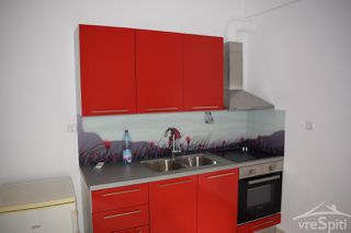 Studio / γκαρσονιέρα 25 τ.μ. για ενοικίαση, Ν. Ιωαννίνων, Μολοσσοί-thumb-17