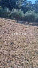 Αγροτεμάχια 4.665 τ.μ. για πώληση, Μεσσηνία, Αριστομένης-thumb-1
