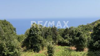 Αγροτεμάχια 4.837 τ.μ. για πώληση