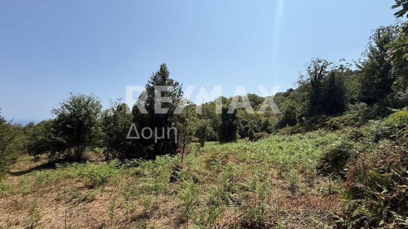 Αγροτεμάχια 4.837 τ.μ. πρός πώληση, Μαγνησία, Μούρεσι