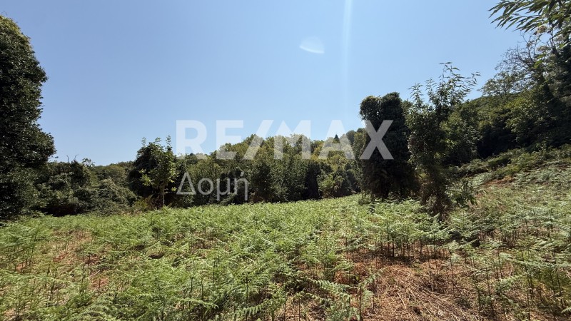Αγροτεμάχια 4.837 τ.μ. πρός πώληση, Μαγνησία, Μούρεσι