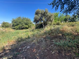 Οικόπεδο 1.006 τ.μ. για πώληση
