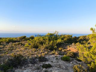 Οικόπεδο 9.535 τ.μ. προς πώληση, Γαύδος-thumb-4