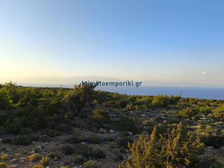 Οικόπεδο 9.535 τ.μ. προς πώληση, Γαύδος-thumb-5