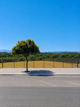Οικόπεδο 2.500 τ.μ. προς πώληση
