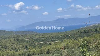 Οικόπεδο 9.000 τ.μ. για πώληση