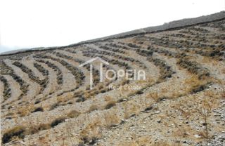 Αγροτεμάχια 4.404 τ.μ. πρός πώληση, Κυκλάδες, Κέα-thumb-8